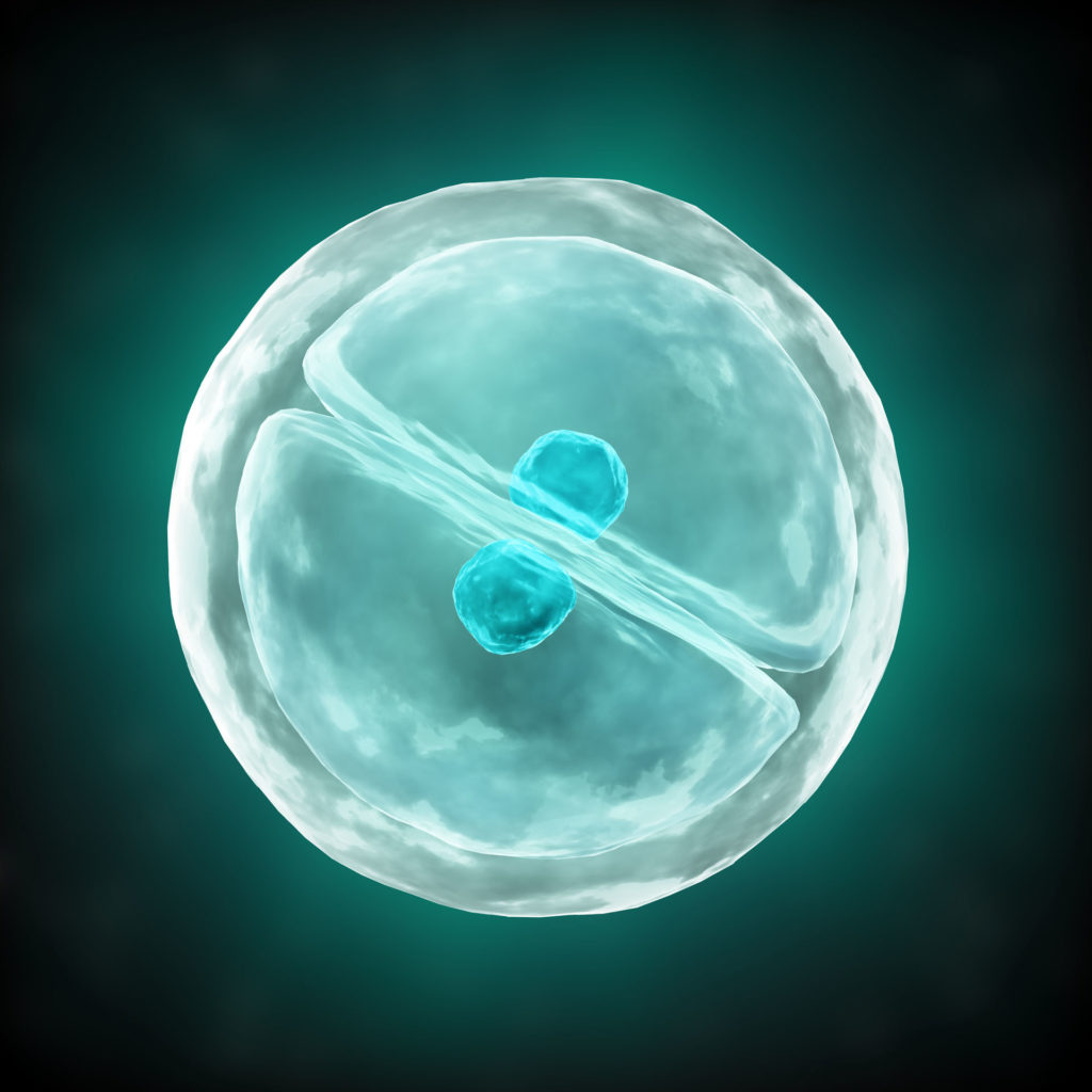 Biochemistry and Molecular Biology: How Life Works