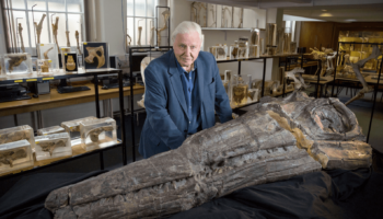 Attenborough and the Giant Sea Monster