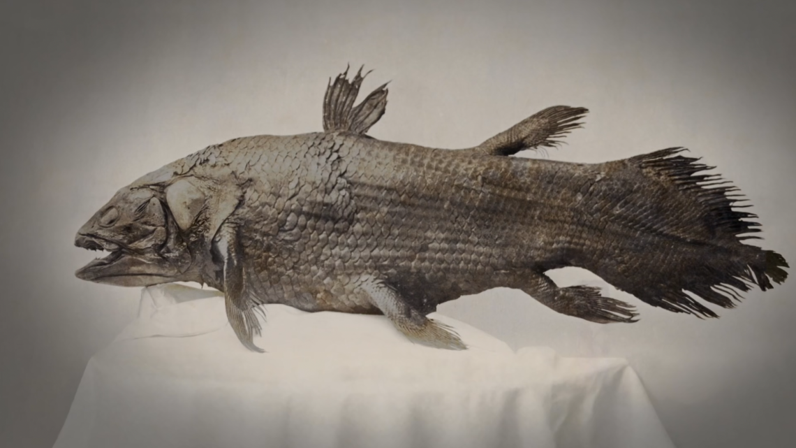 Deep Ocean: Kingdom of the Coelacanth