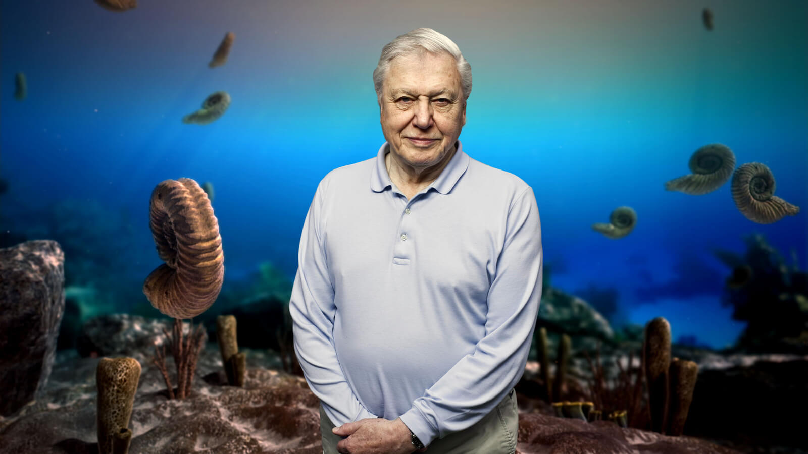 David Attenborough’s First Life