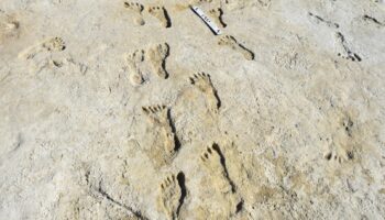Ice Age Footprints
