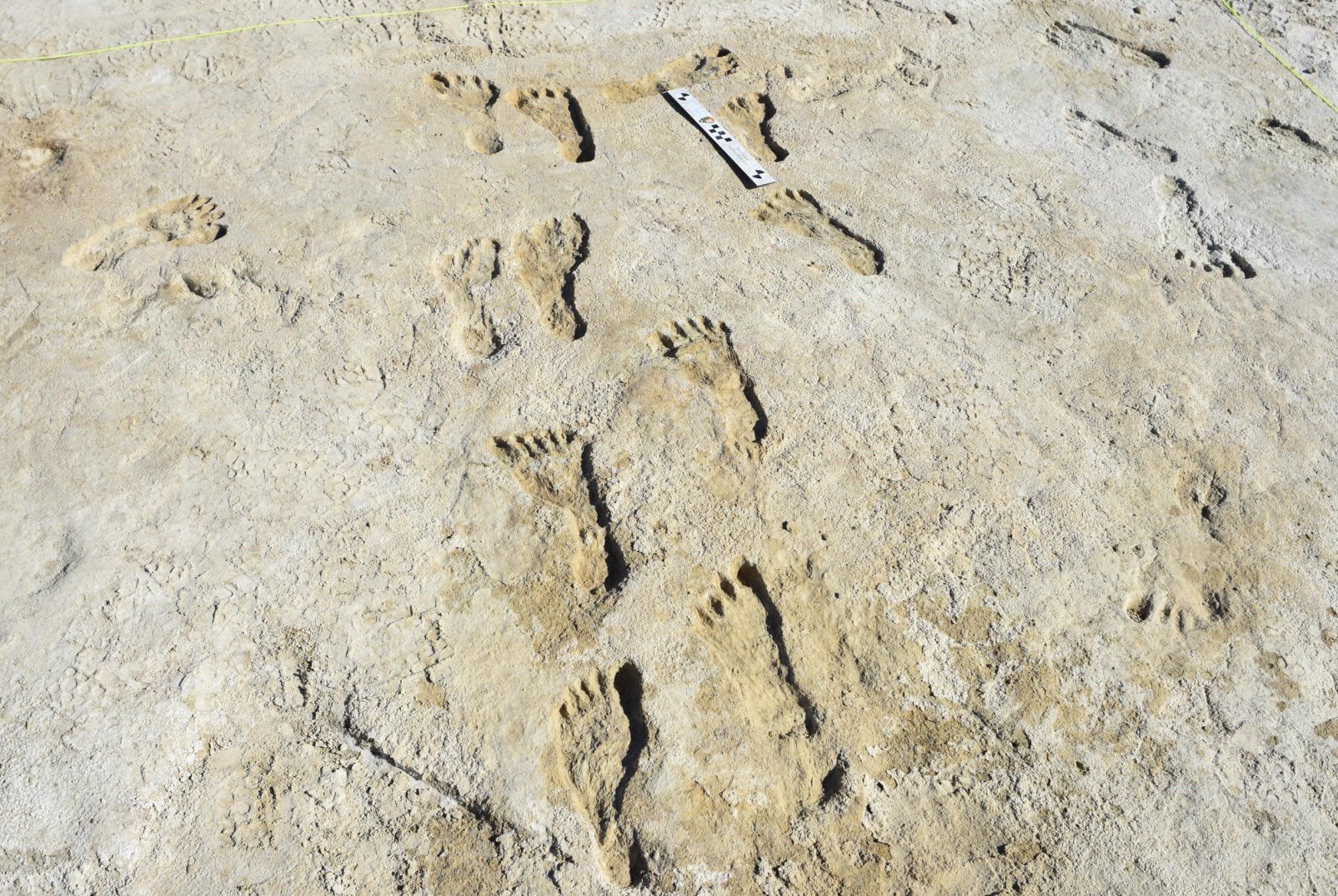 Ice Age Footprints