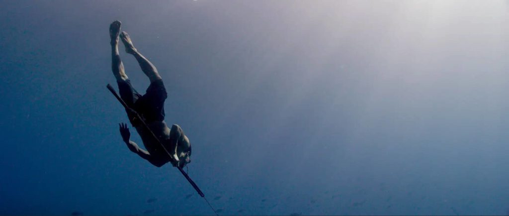 Jago: A Life Underwater