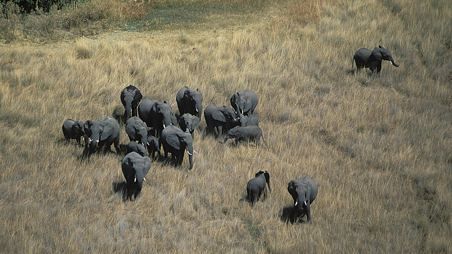 Kalahari