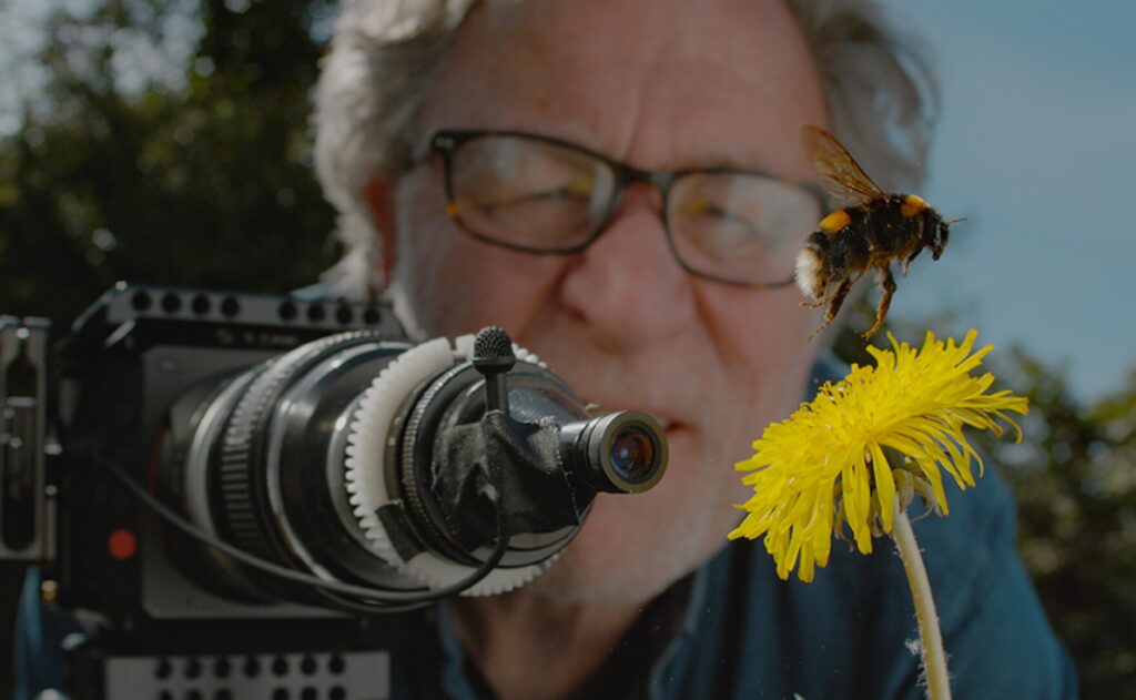 My Garden of a Thousand Bees