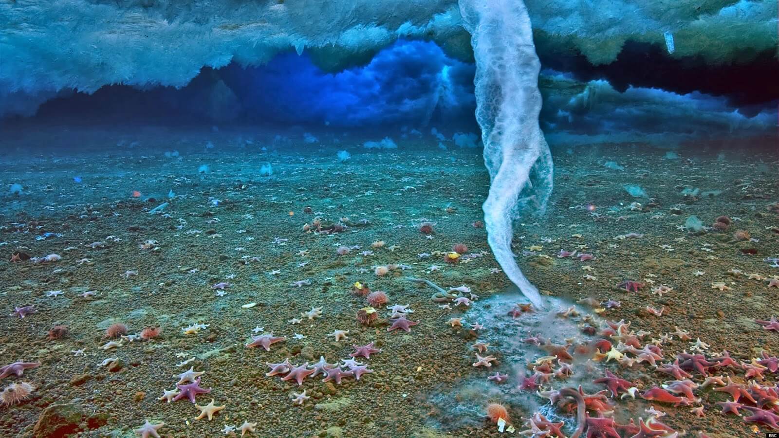 Mystery Beneath The Ice