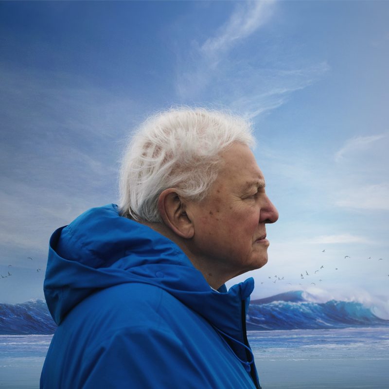 Ocean with David Attenborough