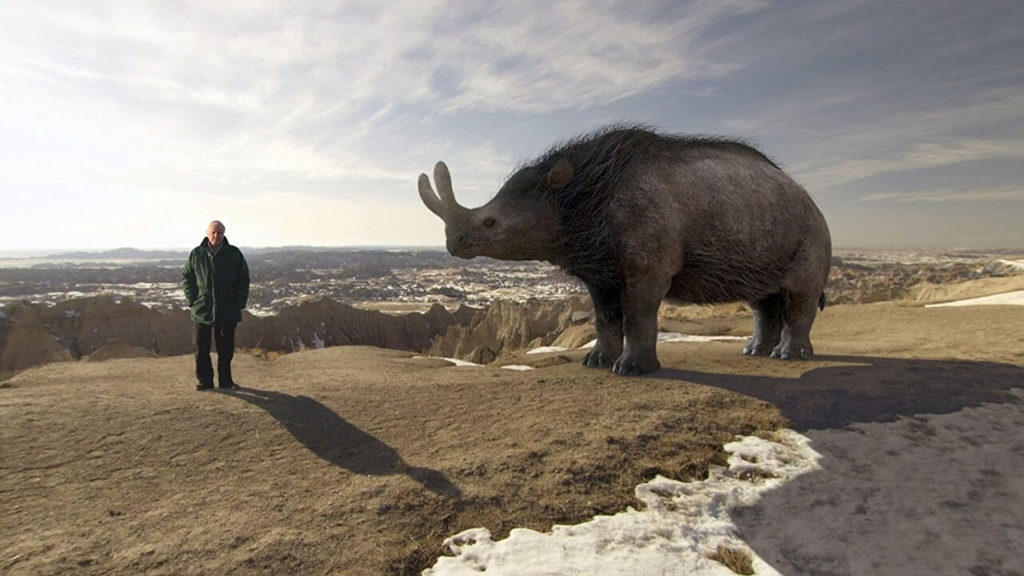 Rise of Animals – VideoNeat