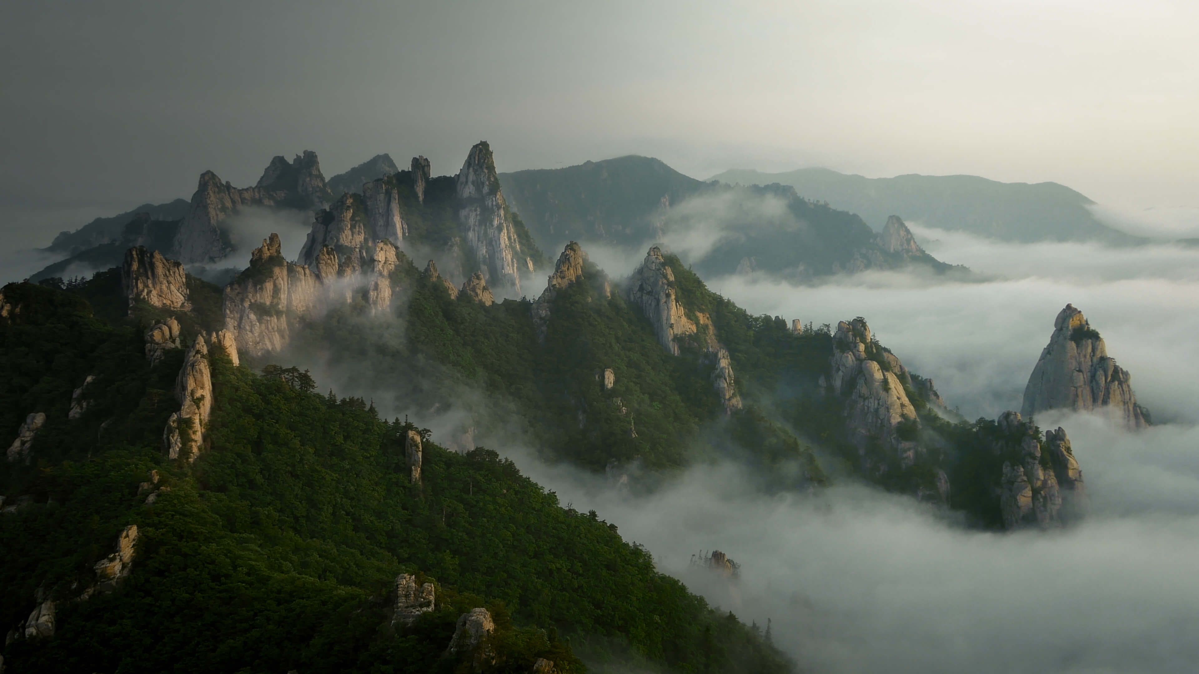 South Korea: Earth’s Hidden Wilderness