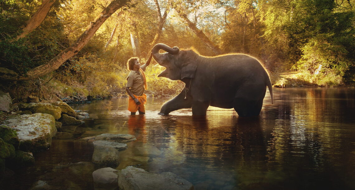 The Elephant Whisperers