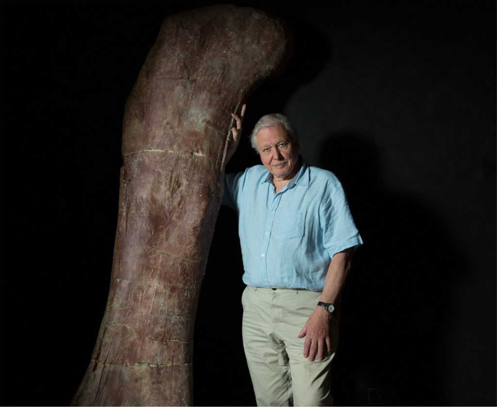 The Giant Dinosaur