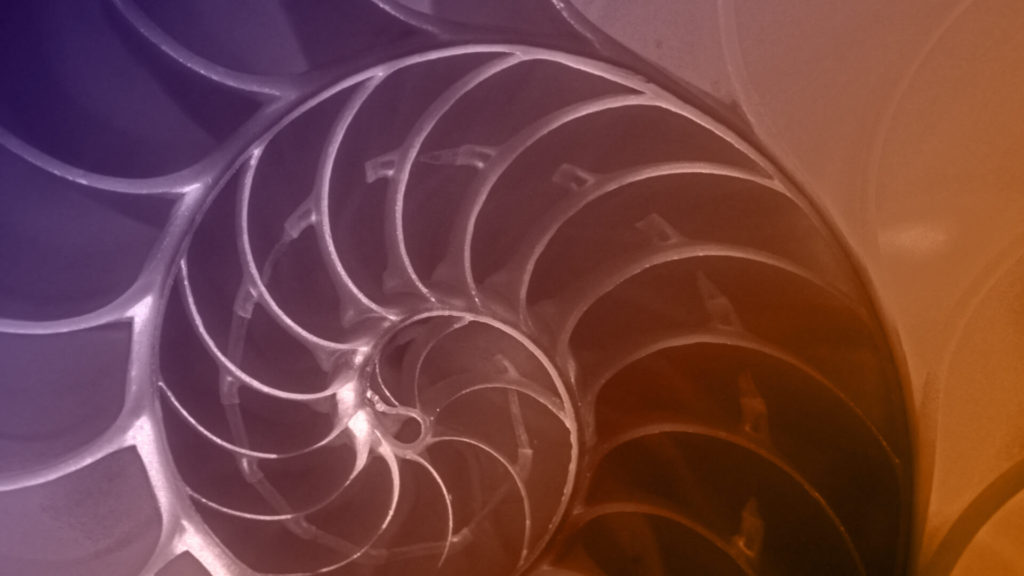 The Great Math Mystery