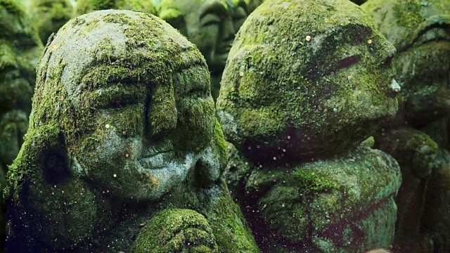 The Magical World of Moss