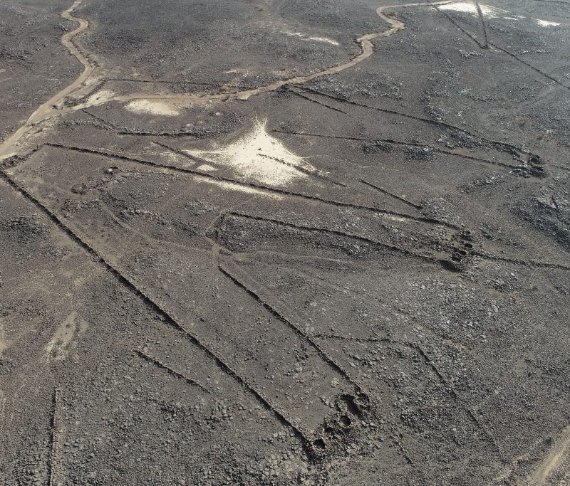 The Mystery of the Desert Kites