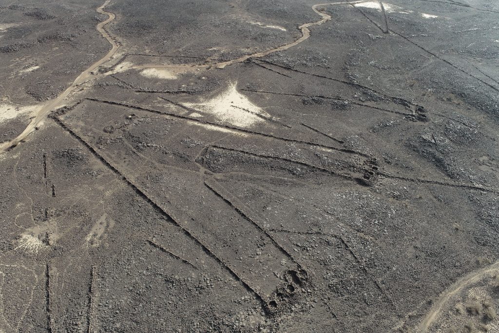 The Mystery of the Desert Kites
