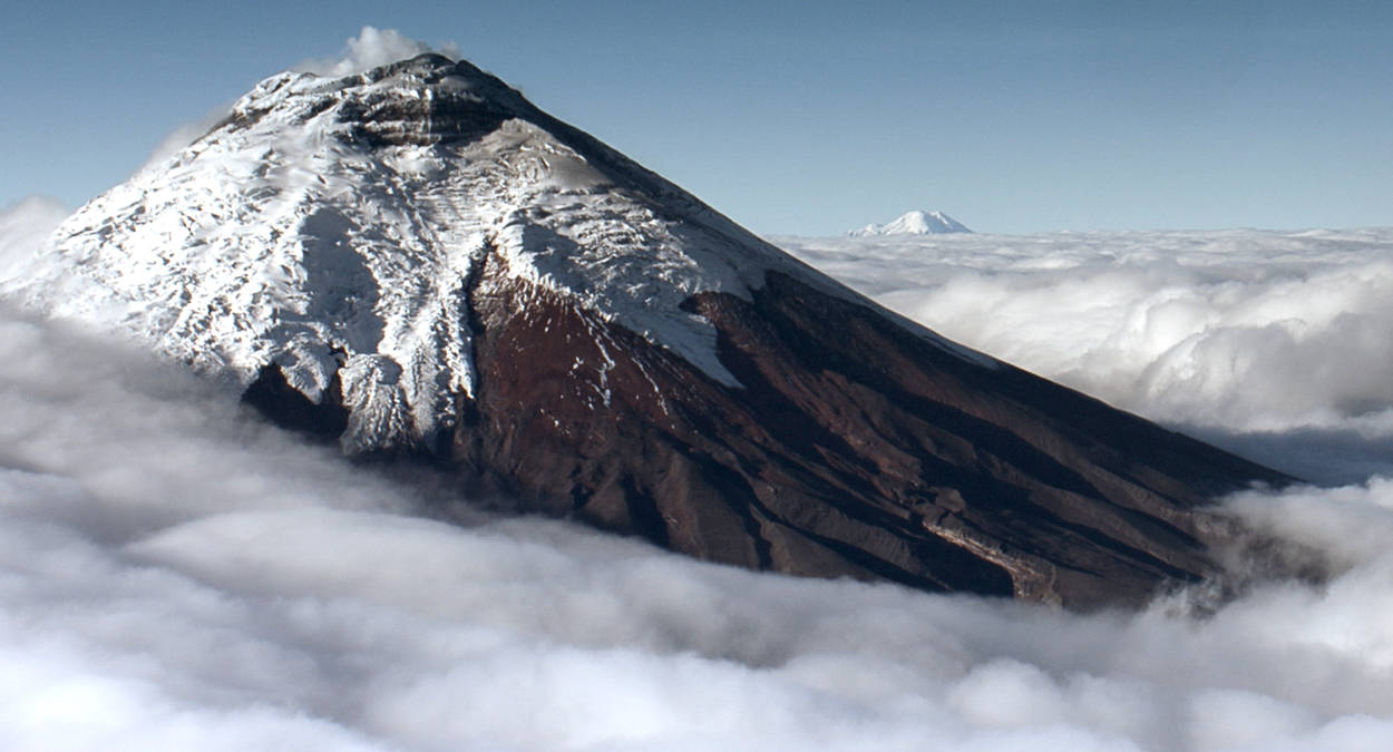 The Wild Andes