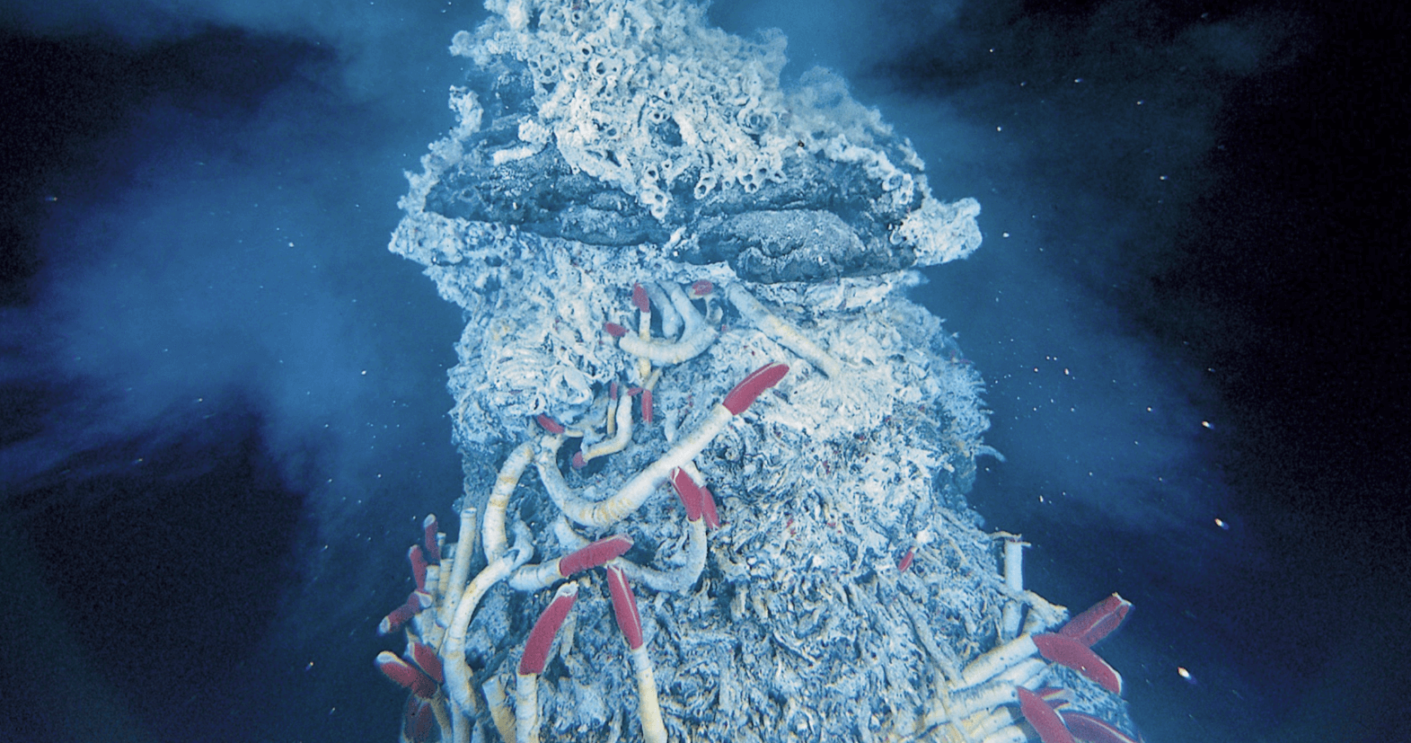 Volcanoes of the Deep Sea