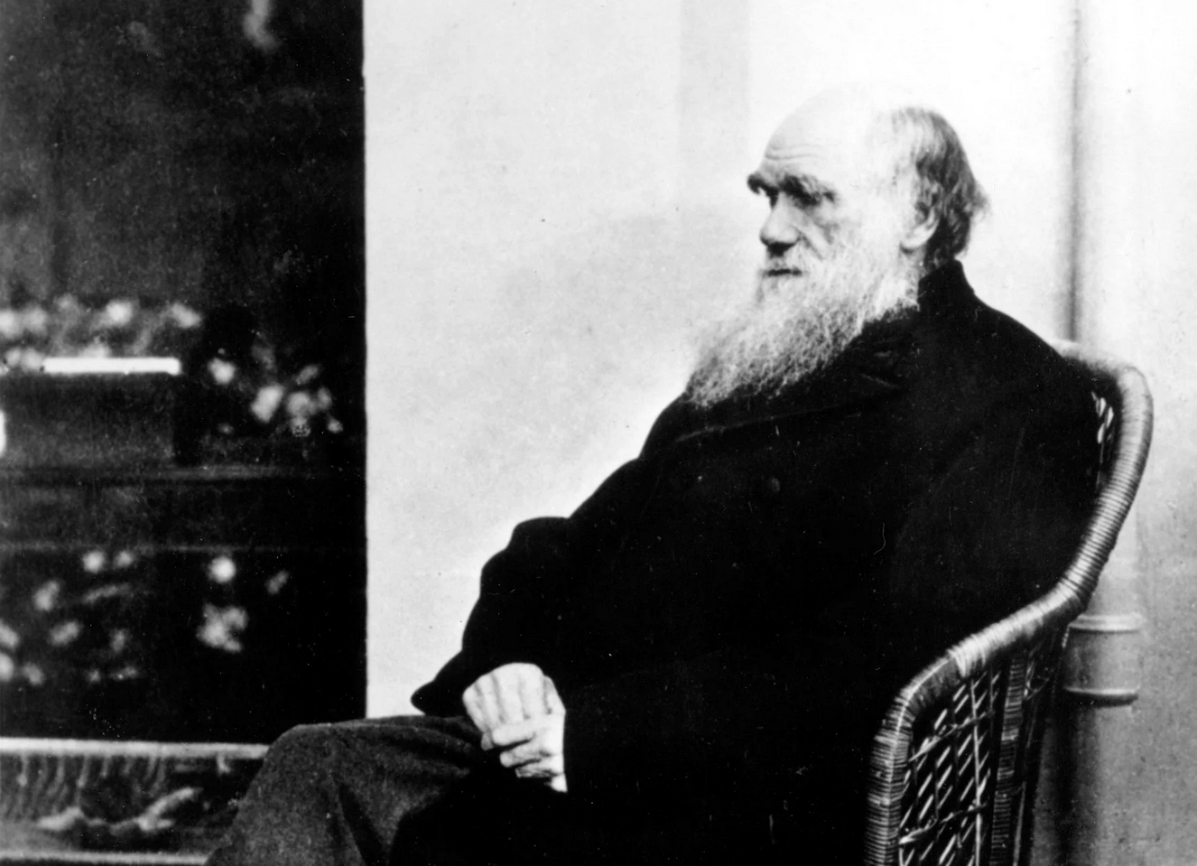 What Darwin Didn’t Know: The Modern Science of Evolution