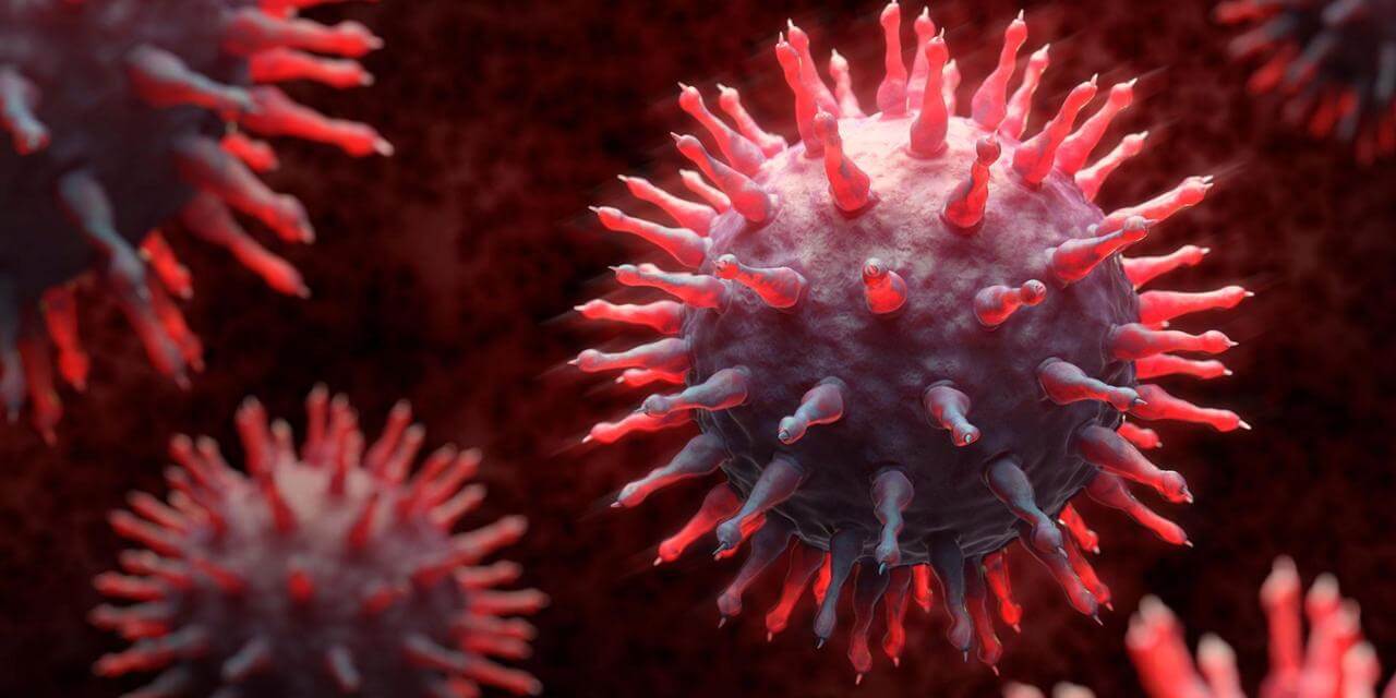 Why do Viruses Kill?