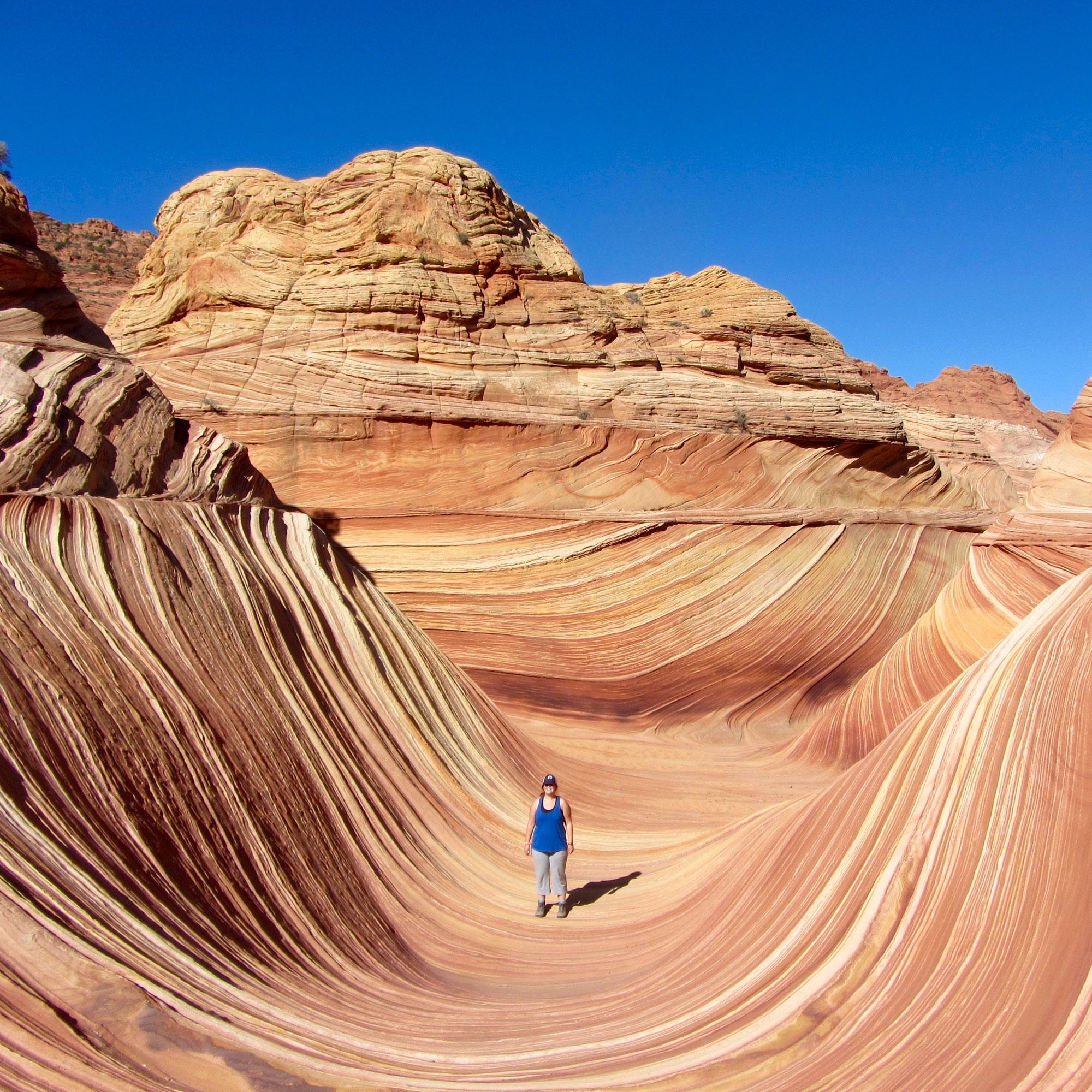 Wonders of the National Parks: A Geology of North America