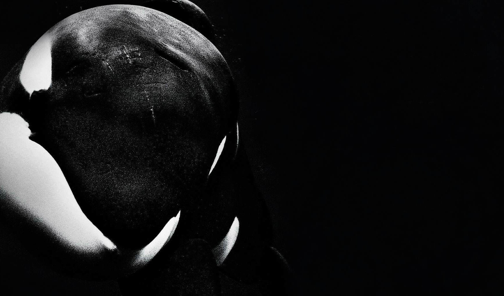 Blackfish