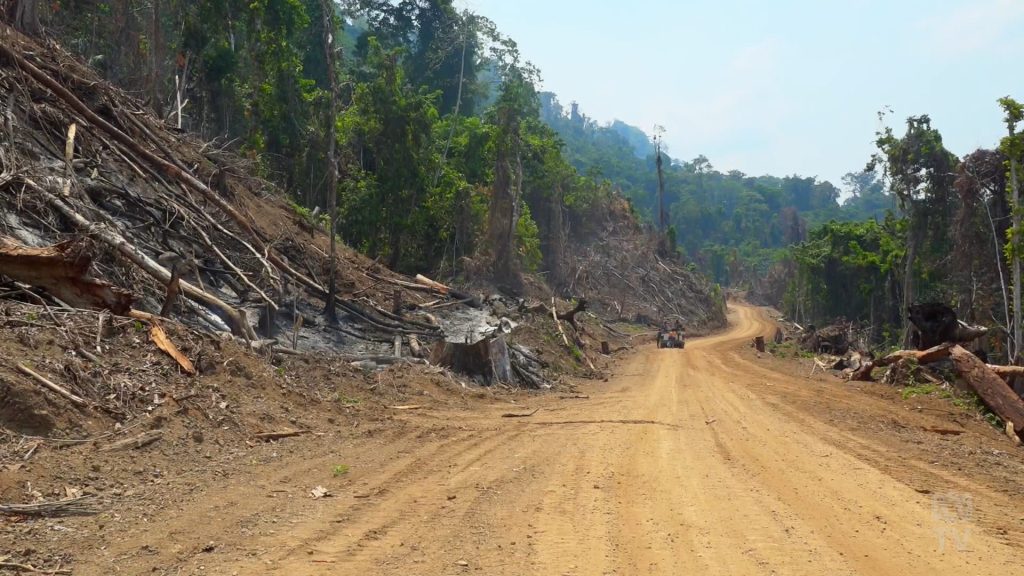 Carbon Colonialism