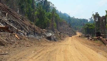 Carbon Colonialism