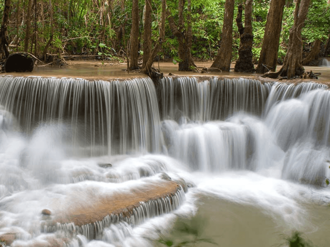 Earth at the Crossroads, Understanding the Ecology of a Changing Planet