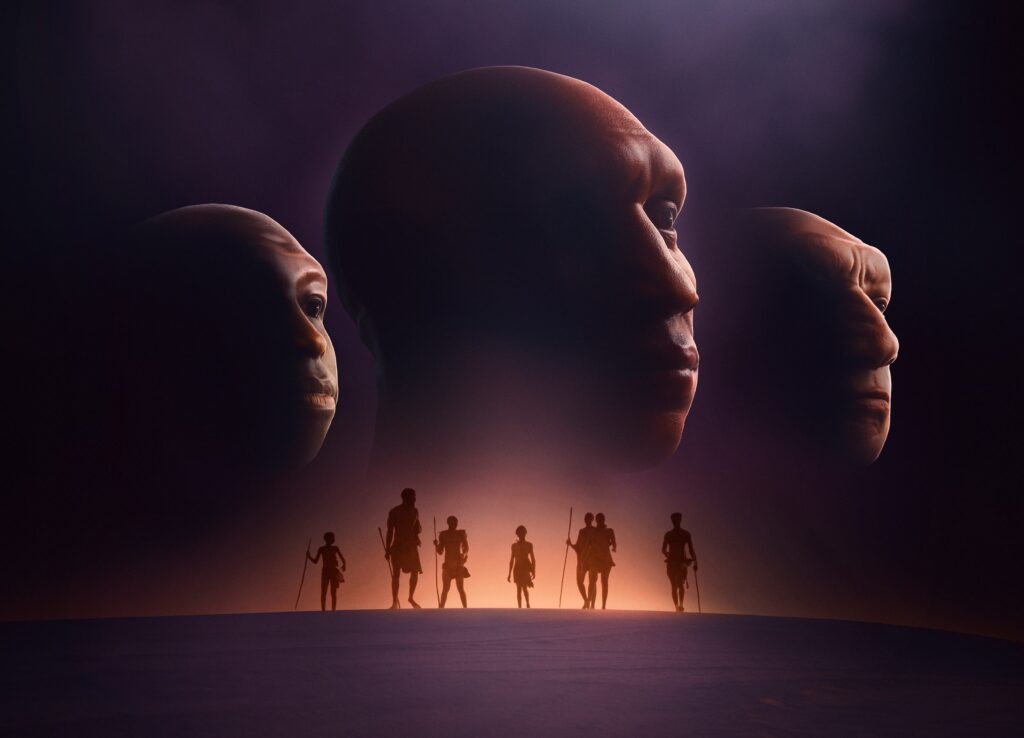 Human