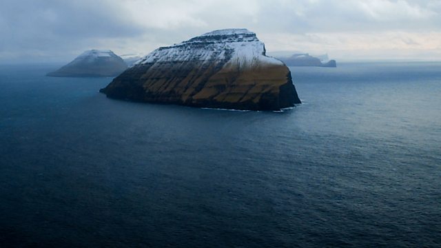 The Islands and the Whales